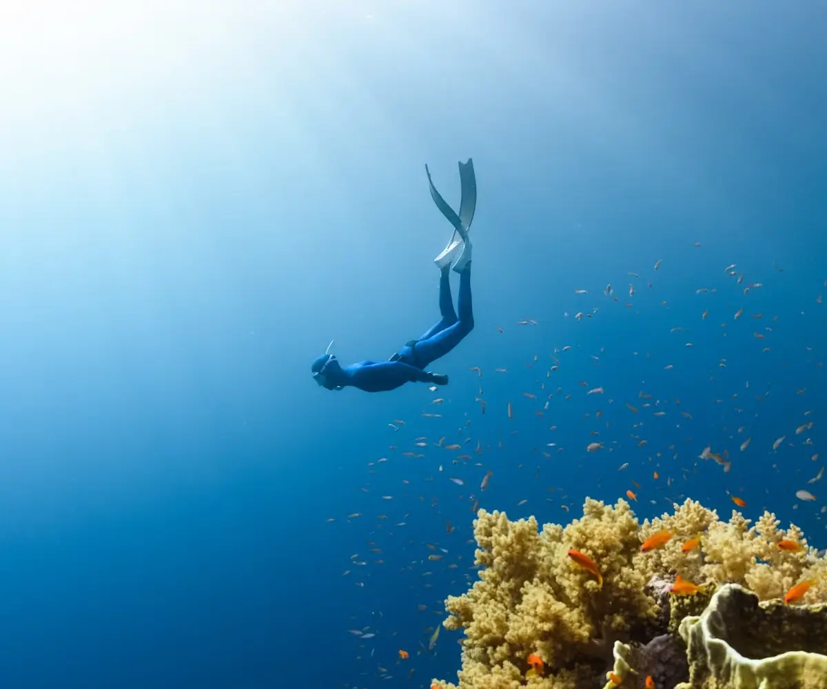 Clear insights guided decisions and unlocked new market opportunities worldwide.